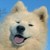 :iconMG360: