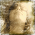 :iconmgbay: