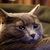 :iconmgerber: