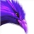 :iconmgk5391: