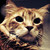 :iconmgportfolio: