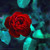 MHDemonica :iconmhdemonica: