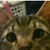 :iconmhell666: