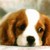 :iconmhine24: