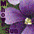 :iconmhowe-sun: