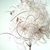 :iconmhphotography: