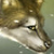 :iconmhrowolf: