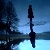 :iconmiaau: