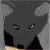 :iconmiakoda-artwork: