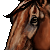 :iconmiamouse14: