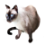 :iconmiaoow: