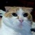 :iconmiaopilise-ninja: