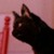 :iconmiarocks16:
