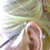 :iconmiasmic:
