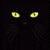 :iconmiauek: