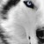 :iconmicahmorrow: