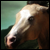 :iconmiceka: