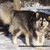 :iconmich03: