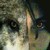 :iconmichael-656:
