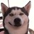 :iconmichael2007v2:
