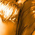 :iconmichaelangelo27: