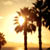 :iconmichaelanthony: