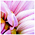 :iconmichaelkry: