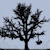 :iconmichaelmullings: