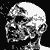 :iconmichaelmurphyart: