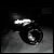 :iconmichaelpolom: