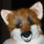:iconmichaelreynard: