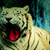 :iconmichalkin9: