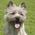 :iconmichalle-moosh: