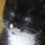 :iconmichelle-sacred: