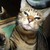 michelleaintnollama :iconmichelleaintnollama: