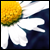 :iconmichellefotography: