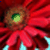 :iconmichellelephant: