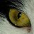 :iconMichelleography: