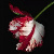 :iconmichelles-stuff: