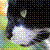 :iconmichi1: