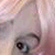 :iconmichialmasy: