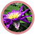 :iconmichicadu: