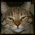 :iconmiciacat:
