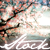 :iconmiciaila-stock: