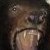 :iconmickicall: