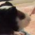 :iconmicks221: