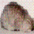 :iconmicky-mcd: