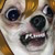 :iconmickyewwplz: