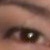 :iconmicoolitz: