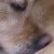 microcactus :iconmicrocactus: